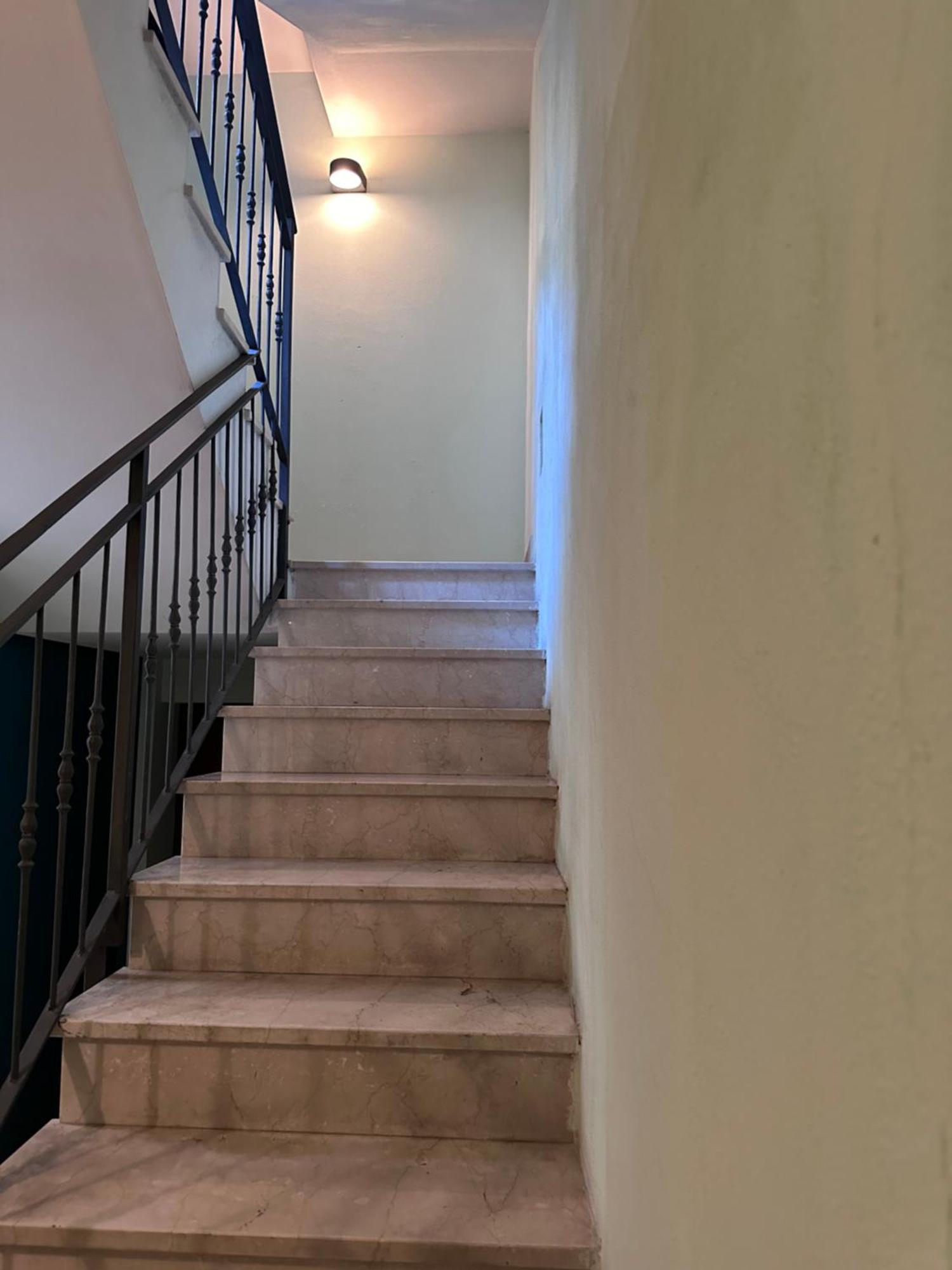 Aselli Palace كريمونا المظهر الخارجي الصورة